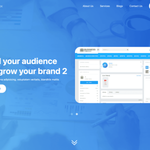 Business Landing Page